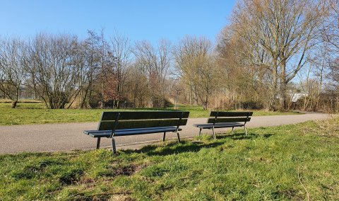 Vitaliteitscoach, Wandelcoach en leefstijlcoach Amstelveen gespecialiseerd in werk en priveleven; balans, vitaliteit en burn out