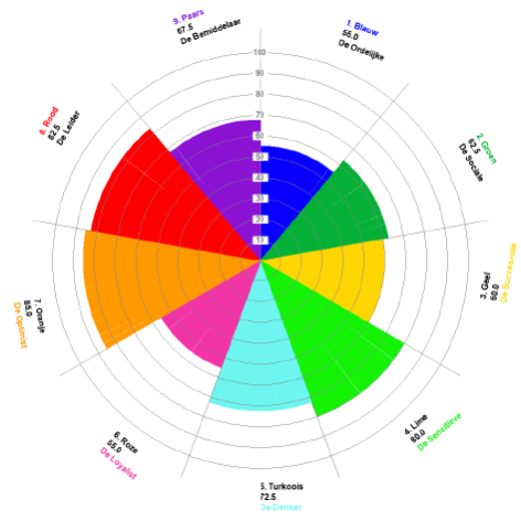 Persoonlijkheidstest, intrinsieke motivatie, zingeving, burn-out, bore-out, persoonlijke waarde, werkgeluk, waardevol