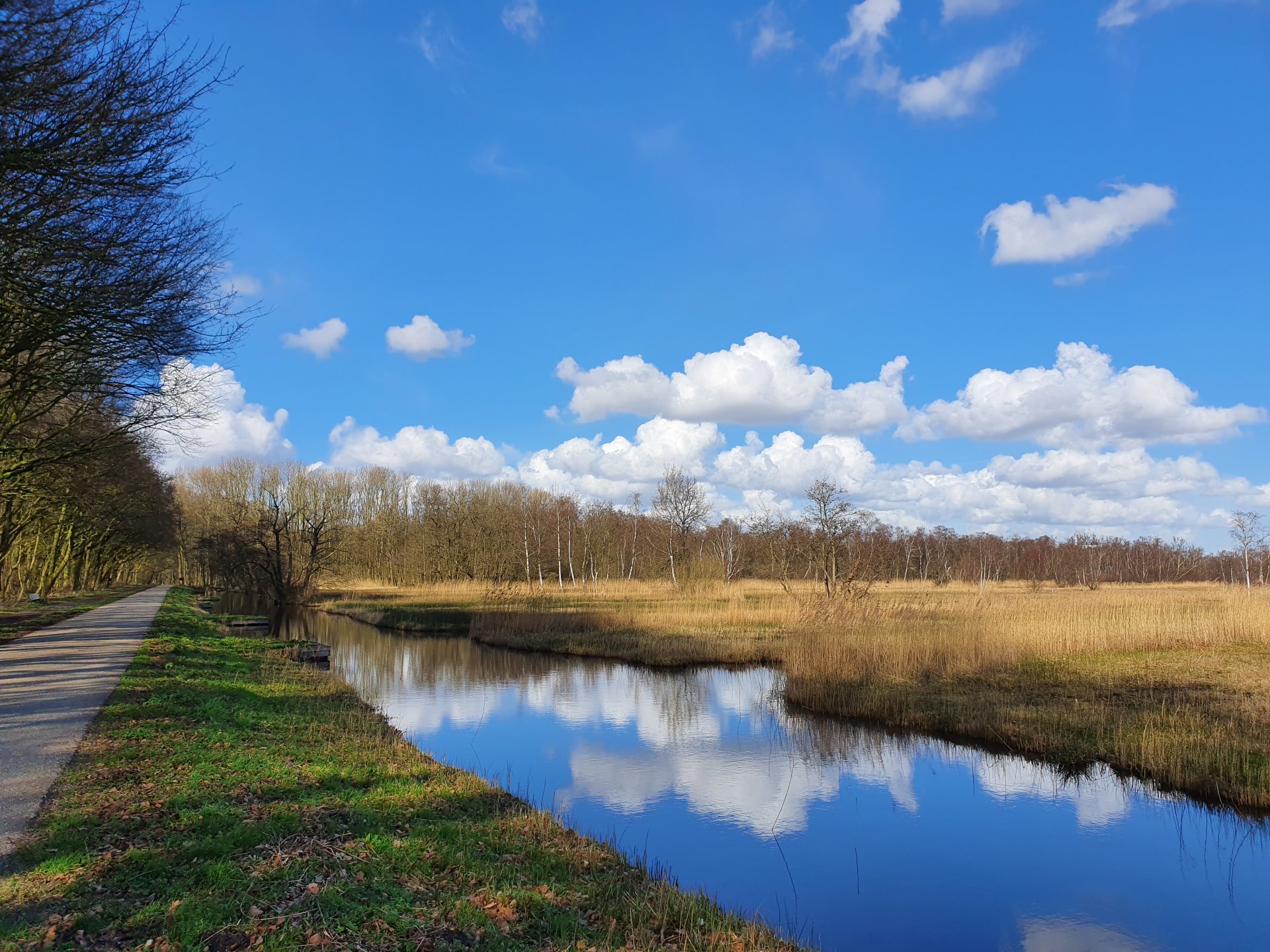 Coach, vitaliteitscoach, wandelcoach, stresscoach, burn-outcoach en leefstijlcoach Amstelveen gespecialiseerd in werk en priveleven; balans, vitaliteit en burn-out